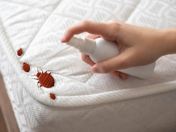 Best Mosquito Control Services  in Poquonock Bridge, CT