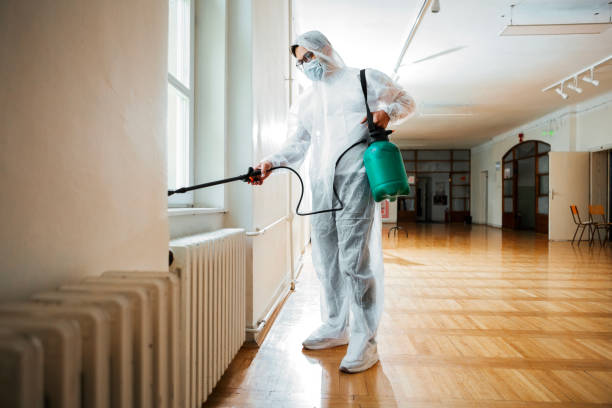 Reliable Poquonock Bridge, CT Pest Control Solutions